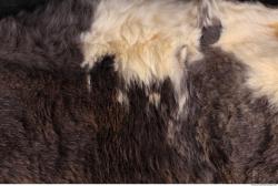 Photo Textures of Fur